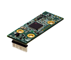 CFM-IGN02